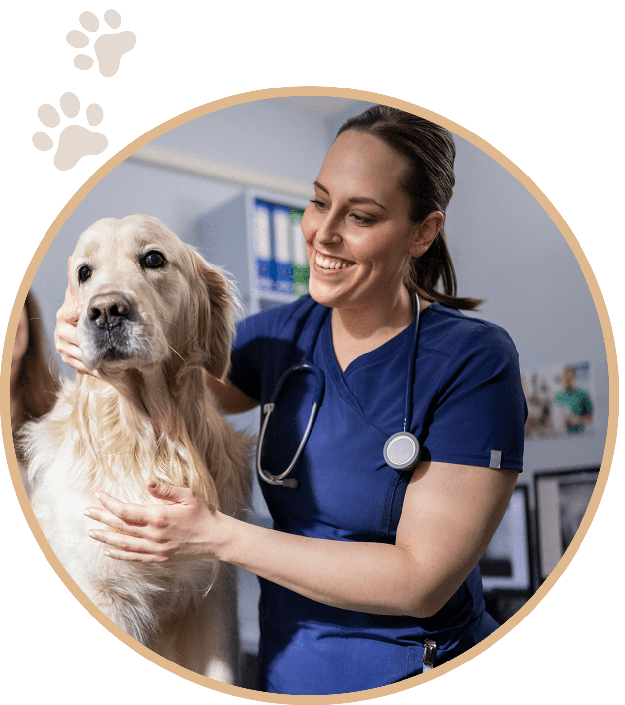 Veterinarian examining a dog with care.