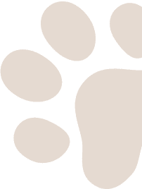 Brown animal paw print on black background.